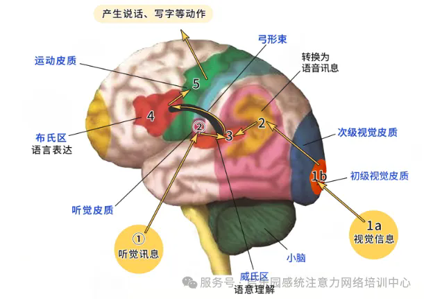 640.webp (1).png